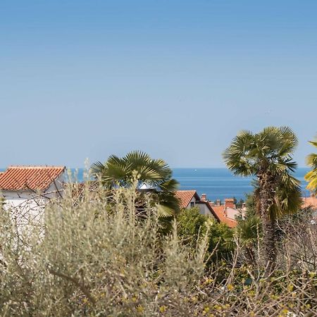 פורץ Apartment Motovunska 39 מראה חיצוני תמונה