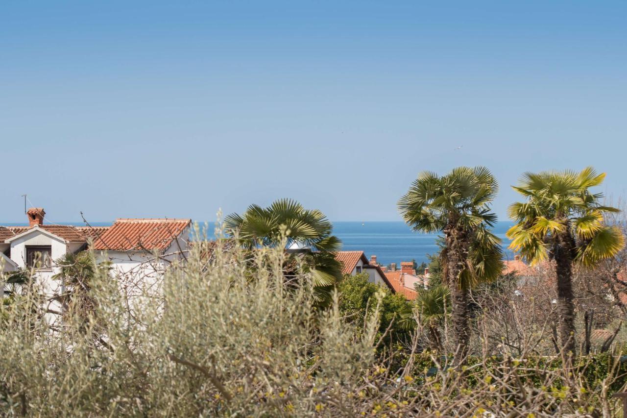 פורץ Apartment Motovunska 39 מראה חיצוני תמונה